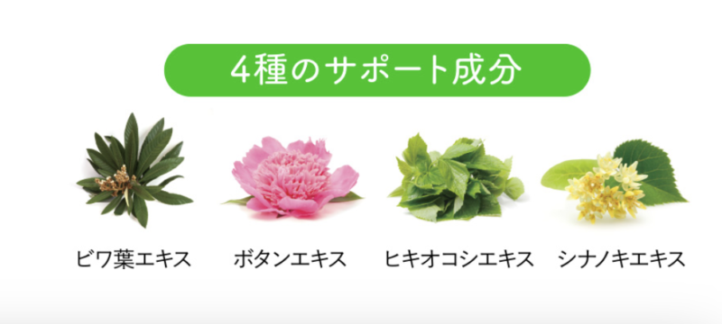 4種のサポート成分