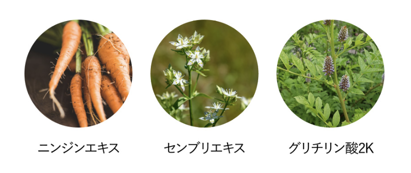 3種の薬用有効成分
