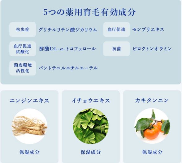5つの薬用育毛有効成分