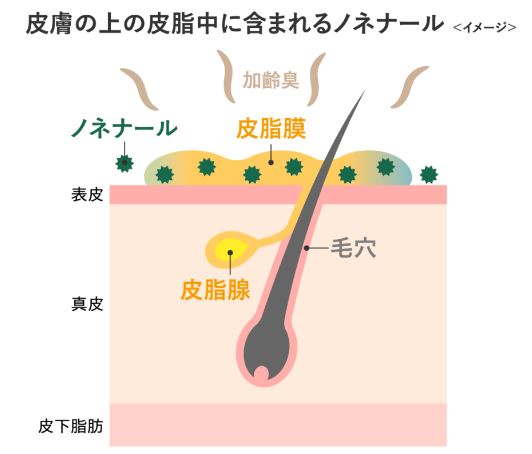 カキタンニン