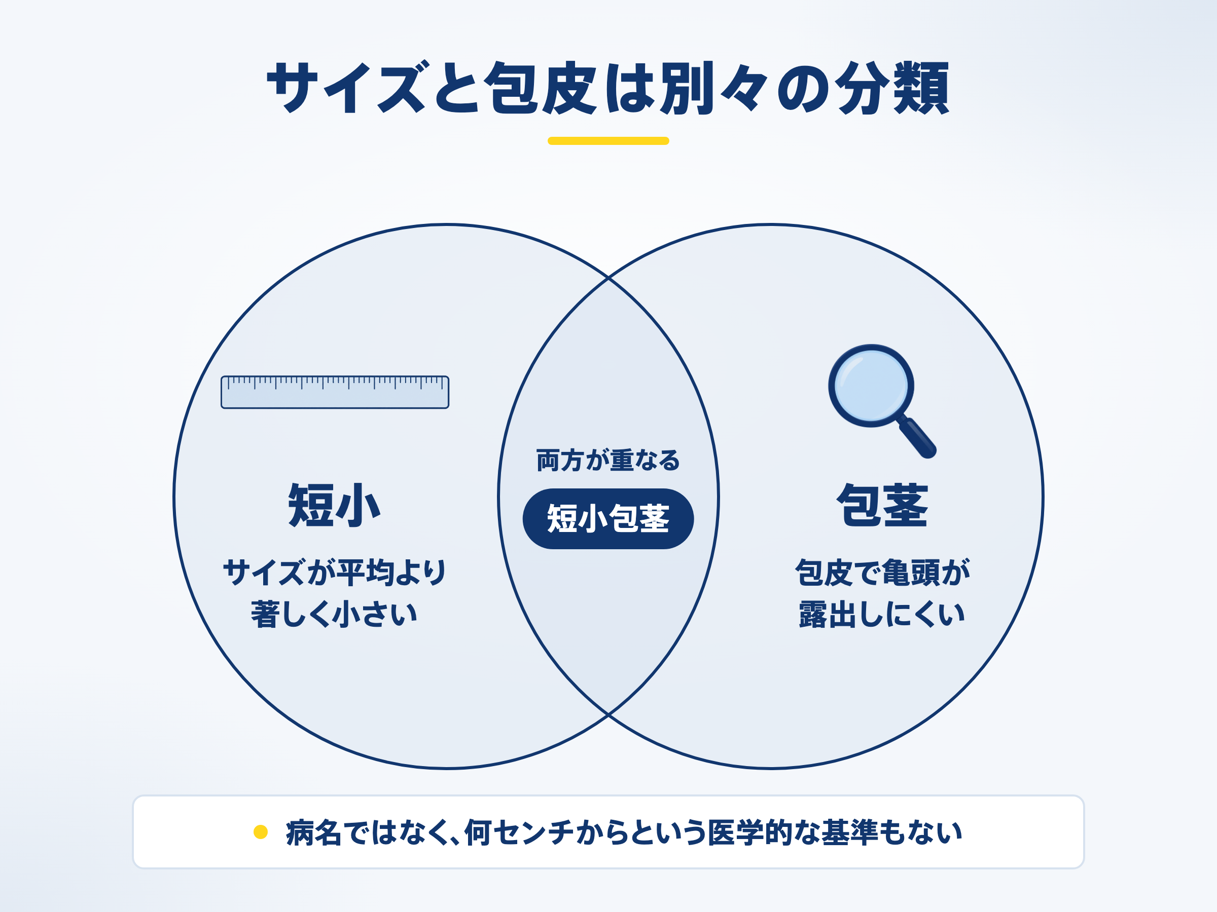 サイズと包皮は別々の分類
